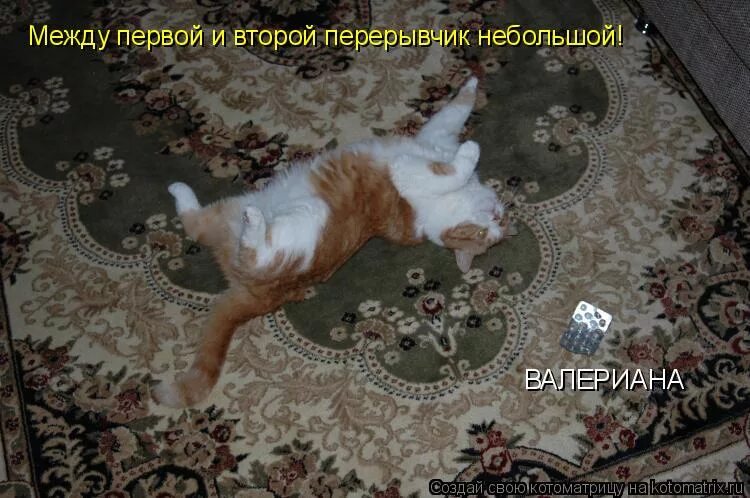 Между первой и второй. После 1 и 2 перерывчик небольшой. Между 1 и 2 перерывчик небольшой. Между первой и второй перерывчик небольшой между второй. После 1 и 2 перерывчик небольшой.