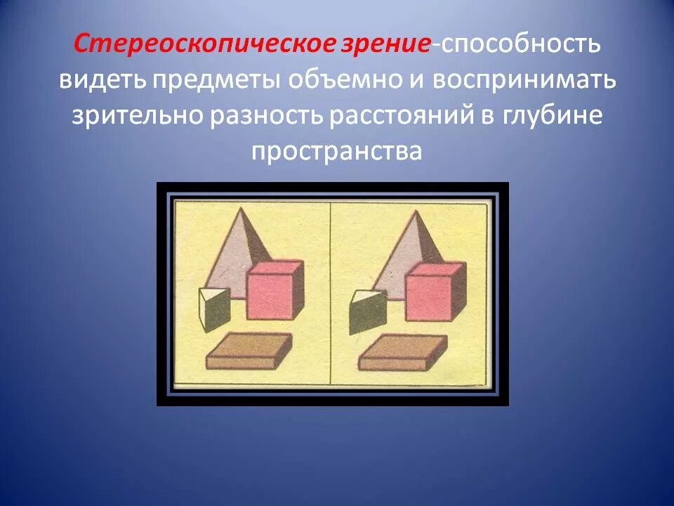 Трехмерное восприятие. Стереоскопическое зрение. Бинокулярное и стереоскопическое зрение. Плоское и объемное восприятие. Принцип стереоскопического восприятия.