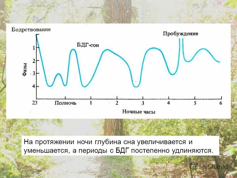 убийца демонов лордс мобайл. глубины сна 6 6. фазы сна человека диаграмма. глубины сна 6 6. бдг фаза.