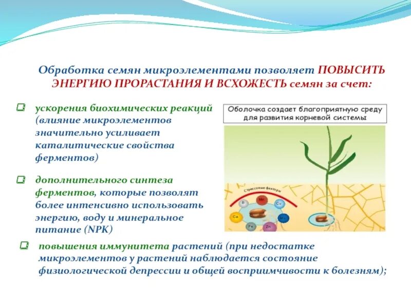 Чем обработать семена для всхожести. Обработка семян микроэлементами. При предпосевной обработке семян микроэлементами используют. Композиции микроэлементов для обработки семян. Обработка семян микроэлементами и стимуляторами.