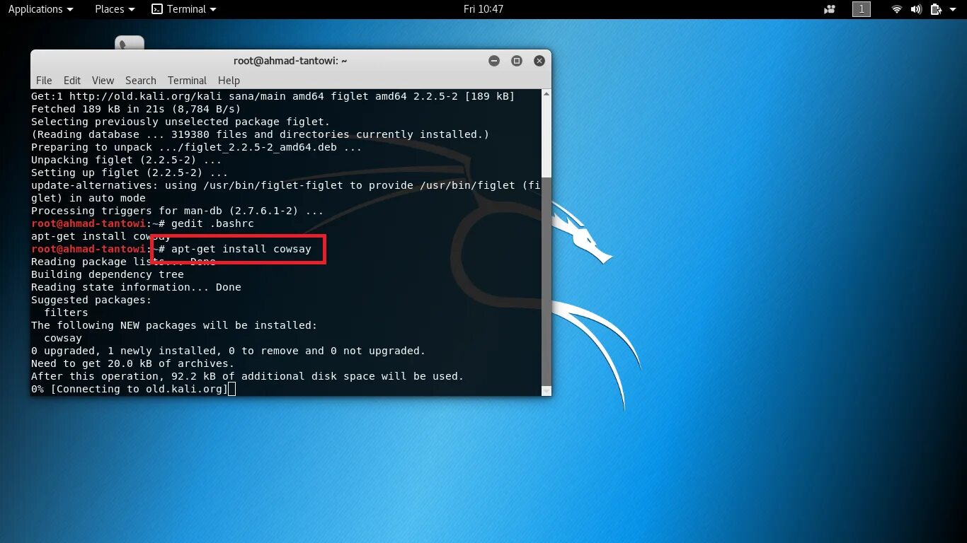 Терминал кали линукс. Консоль кали линукс. командная строка kali linux. консоль root linux.