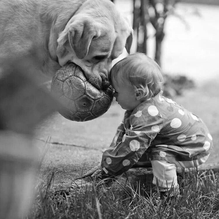 Чувства заботы о другом. Трогательные животные. Собака для детей. Для детей. Животные. Трогательный ребенок.