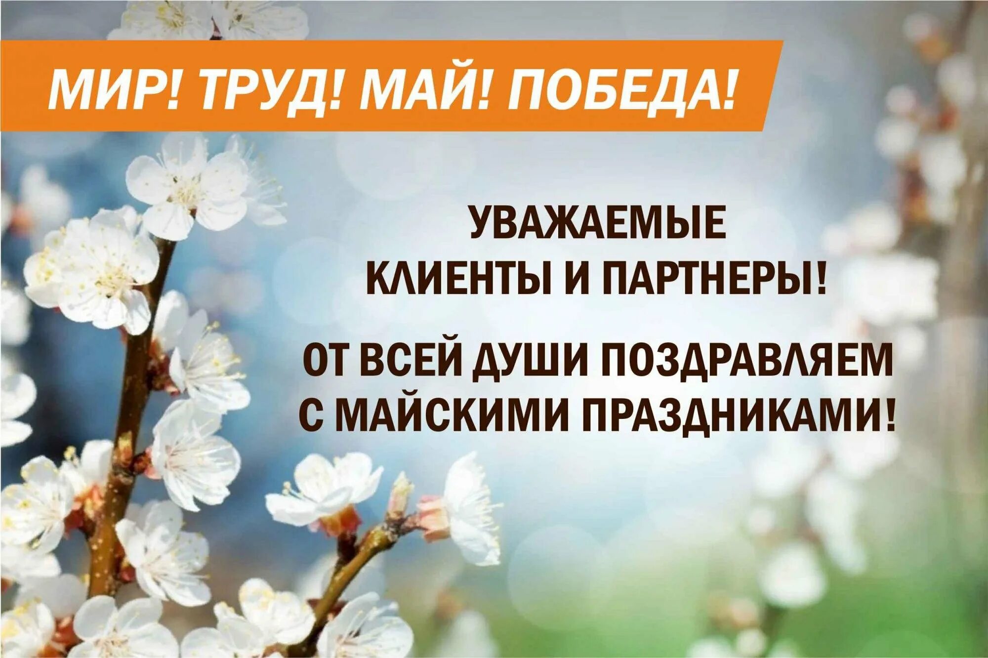 С наступающими майскими праздниками. Поздравляем с майскими праздниками. Поздравление с наступающими майскими праздниками. Поздравление с майскими праздниками клиентов. Как учатся дети на майские праздники