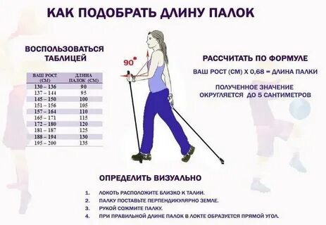 Палки для скандинавской ходьбы по росту
