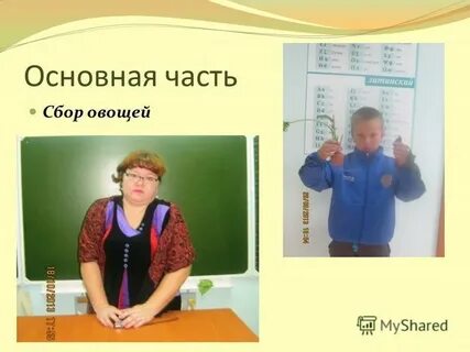 Проекты учащихся 8 классов
