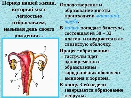 Что и как это происходит