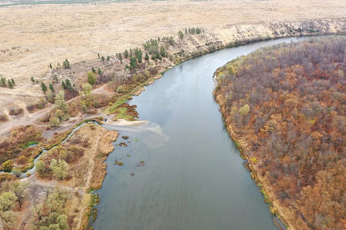 Природа воронежской области река дон. Река дон впадает в азовское море. Остров арпачин ростовская область. Азовское море в дельте дона. Устье реки дон.