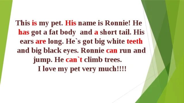 Ronny have got long Ears или has. Long Tail. His Ears что вставить. Ronny has got long Ears Ronny has got a long Tail. Why Hares have got long Ears картинки.