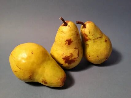 Груша 15