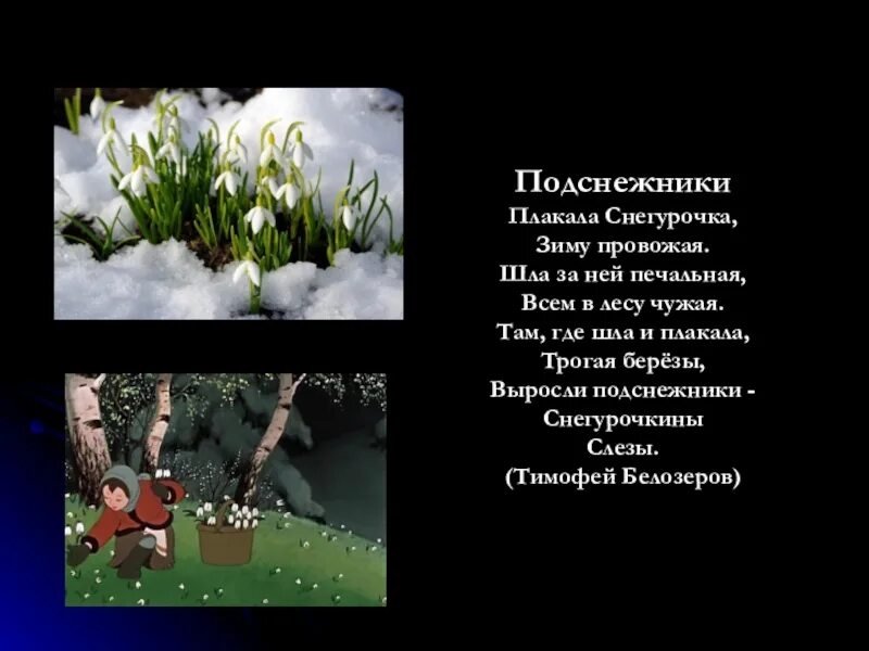 Стихотворение т Белозерова подснежники. Там где шла и плакала трогая березы выросли подснежники Снегурочкины. Подснежники плакала Снегурочка зиму провожая.