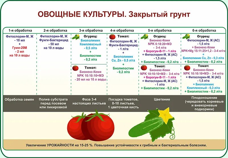 Какие культуры любят золу. Схема подкормки помидор. Схема обработки томатов удобрениями. Схема подкормки томатов от рассады до сбора. Схема удобрения томатов в открытом грунте.