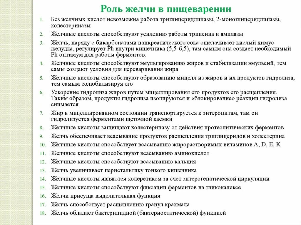 Три функции желчи в пищеварении. Роль желчных кислот в пищеварении. Роль желчи в пищеварении. Роль желчных кислот в переваривании и всасывании липидов. Желчь и ее роль в процессе пищеварения.