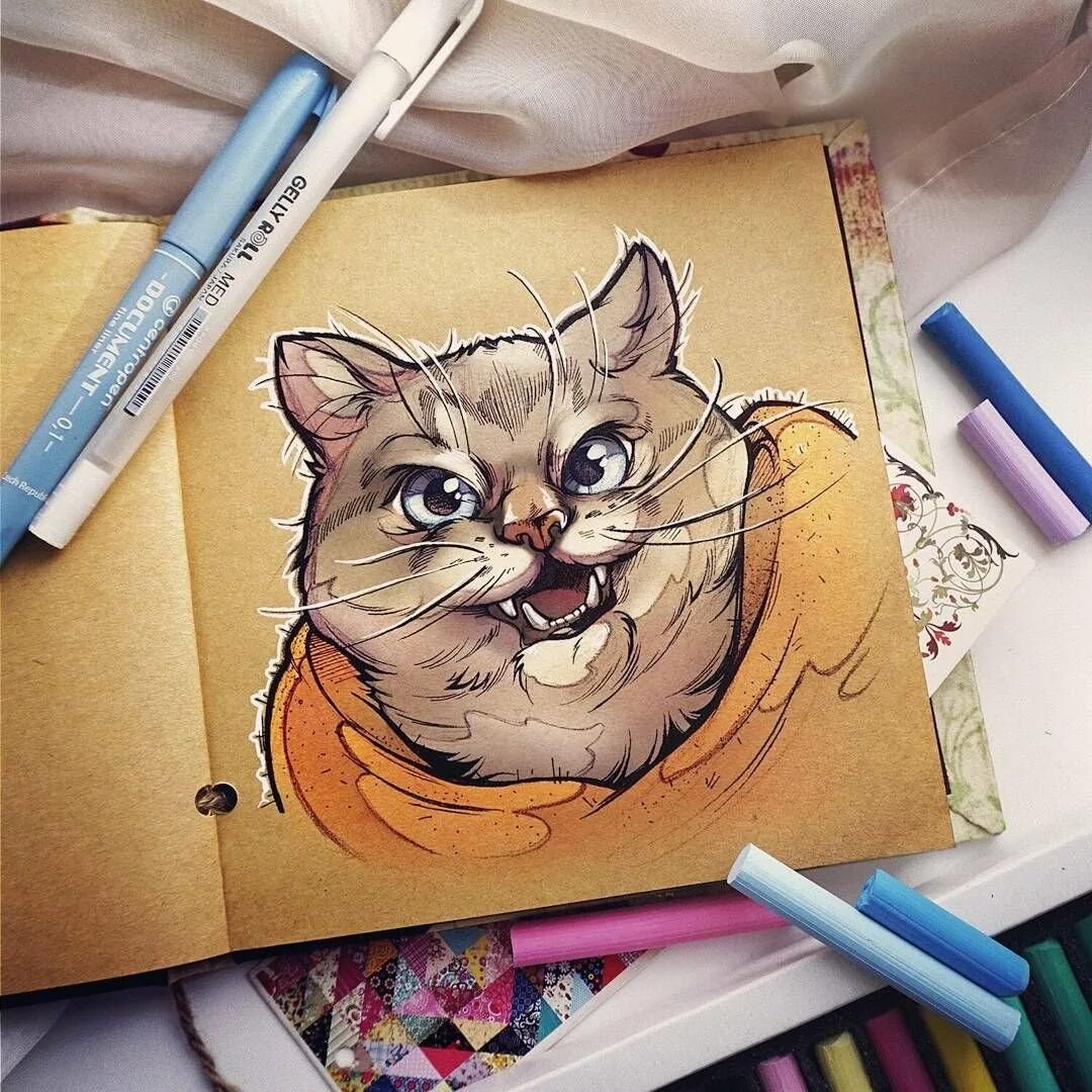 Коты маркерами. Кот маркерами. скетч маркерами кот. рисунок кота маркерами. нарисовать кота маркерами.