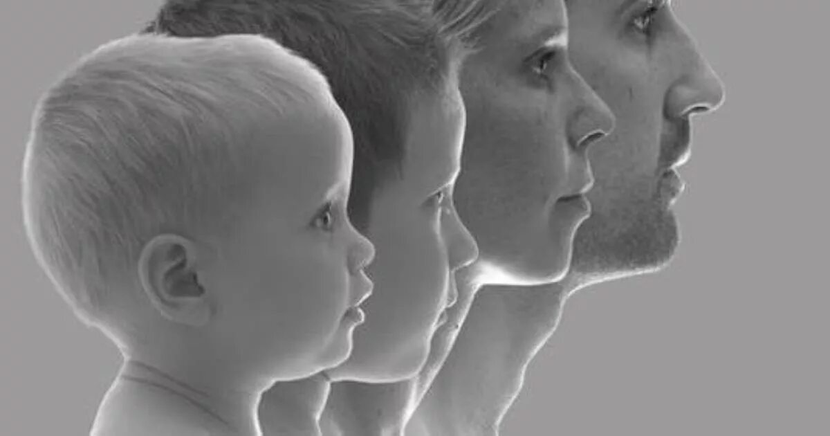 Иерархия в семье. Иерархия взаимоотношений в семье. Нарушение иерархии. Нарушение иерархии. Нарушение иерархии.