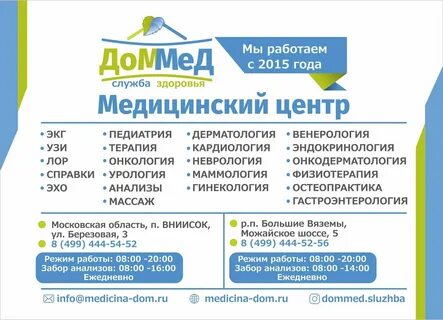 Доммед большие вяземы