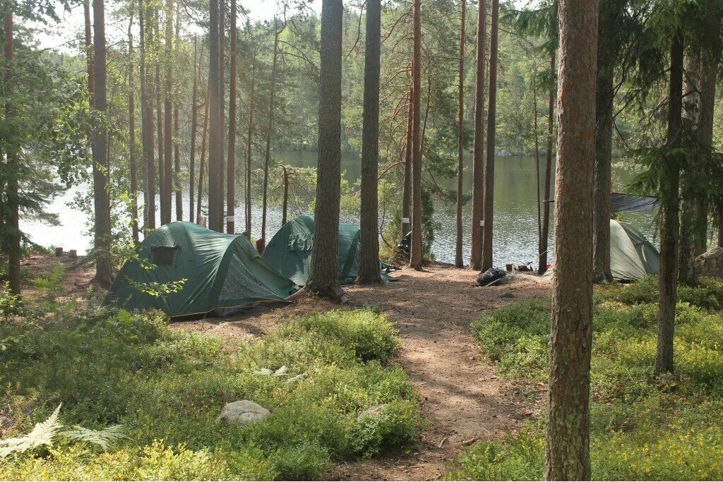 По прибытии на поляну мы разбили лагерь. Экотропа вокруг озера Хепоярви. Лагерь в лесу. Палаточный лагерь в лесу. Детский лагерь в лесу.