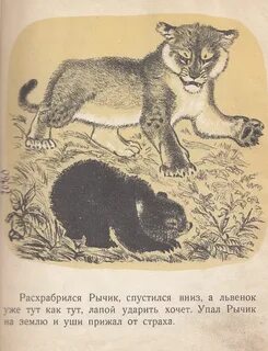 Чаплина рассказы