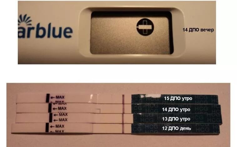 Тест клиаблу цифровой 12 ДПО. Тест клиаблу на 10 ДПО. 11 ДПО цифровой клиаблу. 13 ДПО тест. Тесты на беременность после овуляции форум