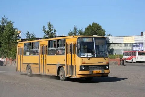 Автобус плодовое