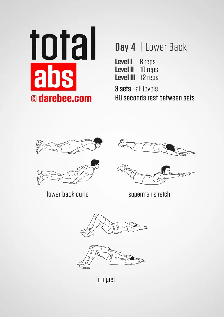 ABS тренировка total. Total ABS. ABS program. Back level