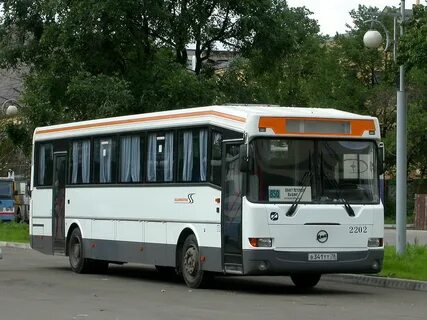 Автобус спб выборг