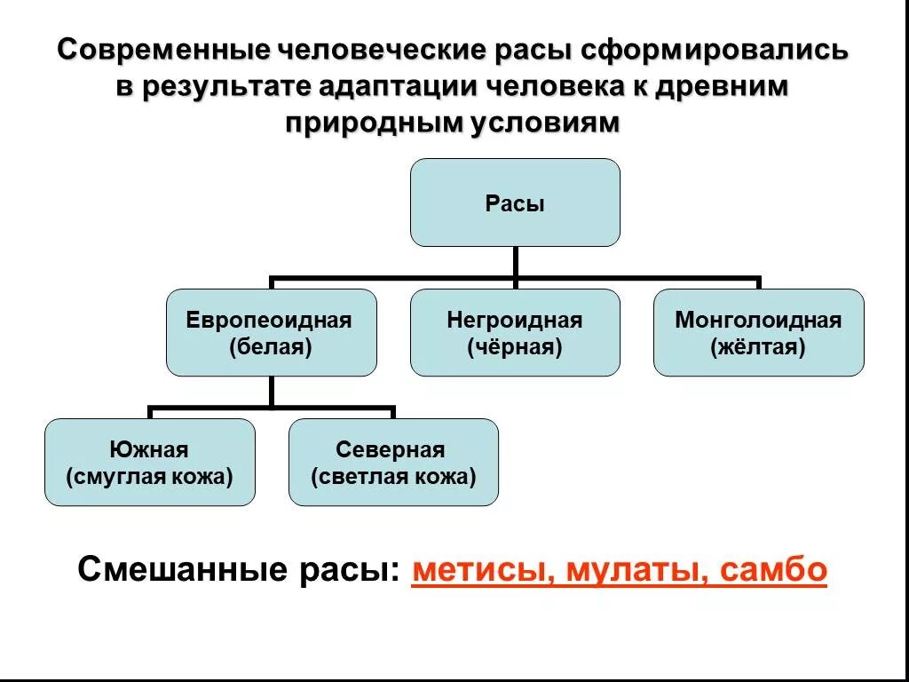 Адаптация рас человека. Адаптация европеоидной расы. Человеческие расы адаптация. Адаптирующиеся расы.