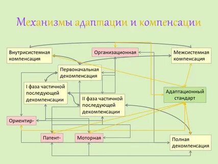 Адаптация и компенсация
