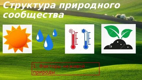 Прогноз 3 луга
