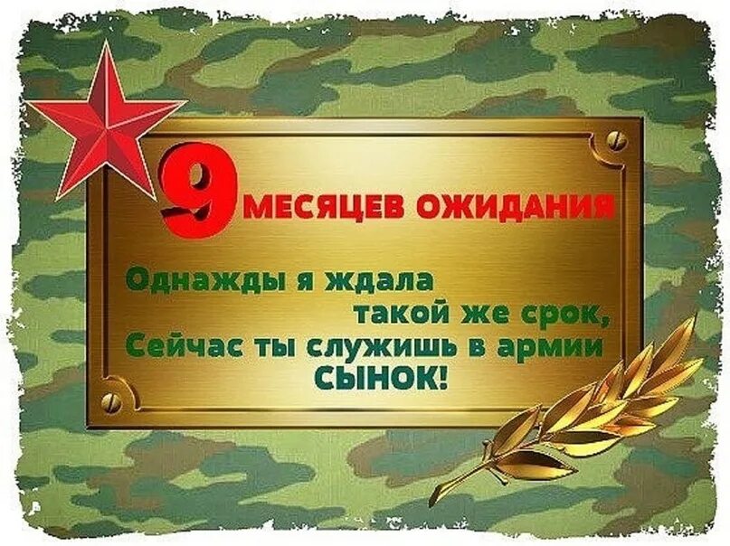 9 Месяцев службы. Открытки 9 месяцев службы в армии. 9 Месяцев службы позади поздравления. 9 Месяцев службы в армии поздравления. Последний день службы