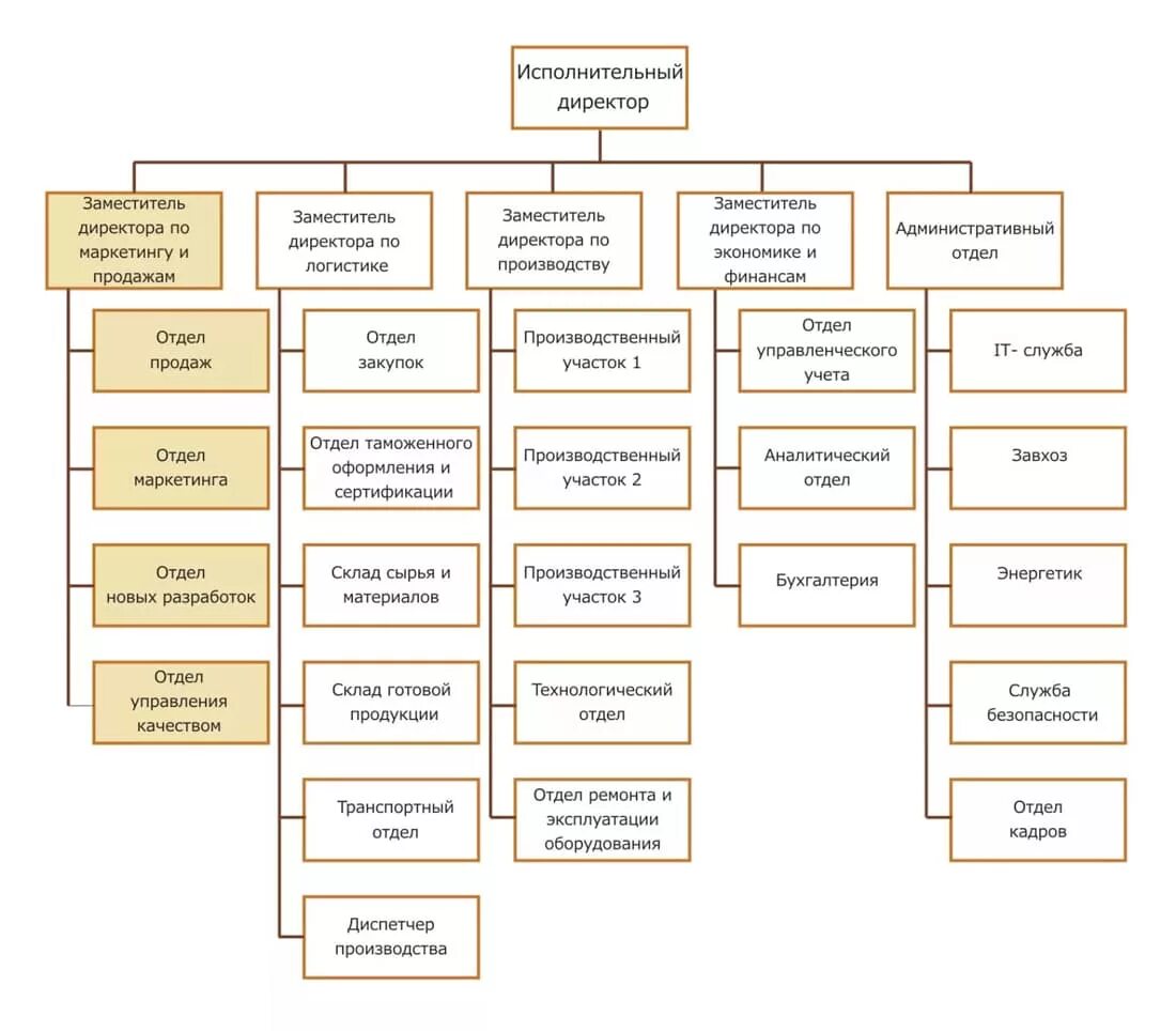 Виды заместителя директора. Структура компании по продажам схема. Схема организационной структуры руководитель отдела продаж. Отдел продаж должности и структура. Структура отдела продаж схема оптовой компании.