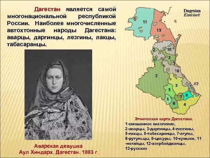 Аварцы численность