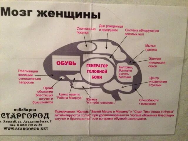 Женский мозг. Мозг мужчины. Мозг женщины прикол. Женский мозг юмор.