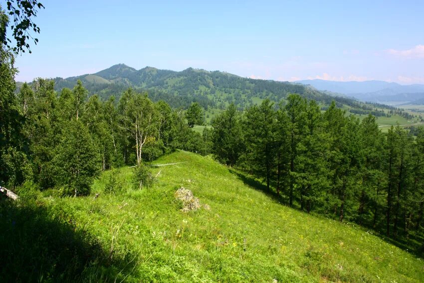 горный участок. земельные участки на алтае.