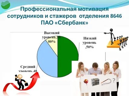 Профессионализм мотивационный