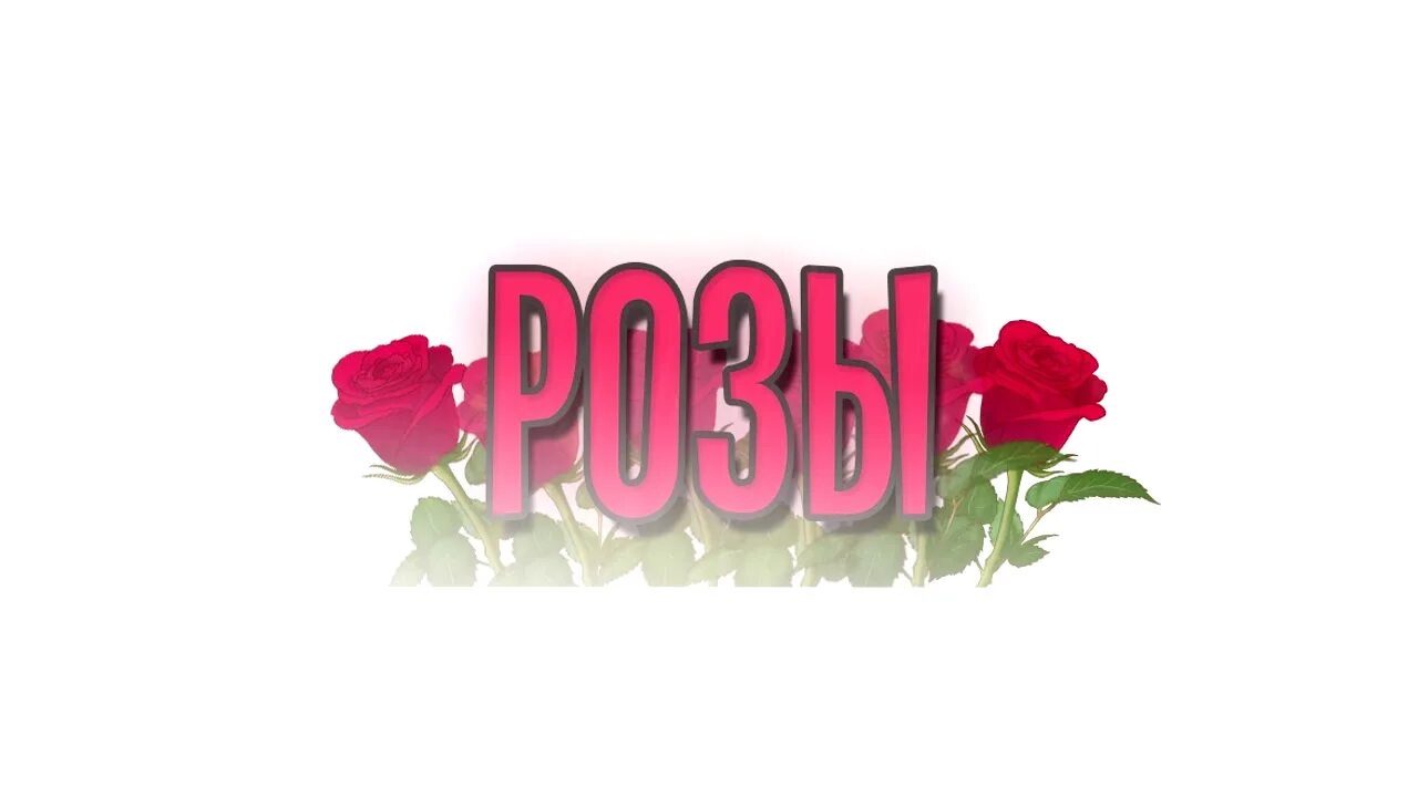 Rose slowed. Rose slowed. Lyric video. Rose slowed. Окрашивание розы гиф.