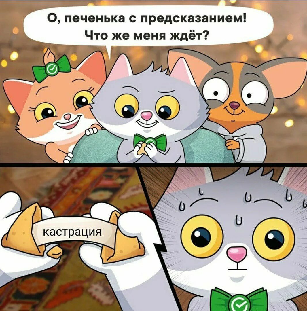 Включи следующего кота