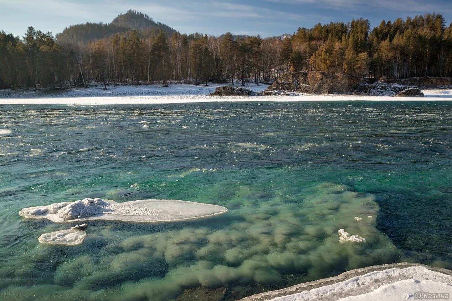 Донный лед. В реке вода была холодная. Зажоры горный алтай. Нарвал арктика. Забереги ледяное сало снежура шуга.