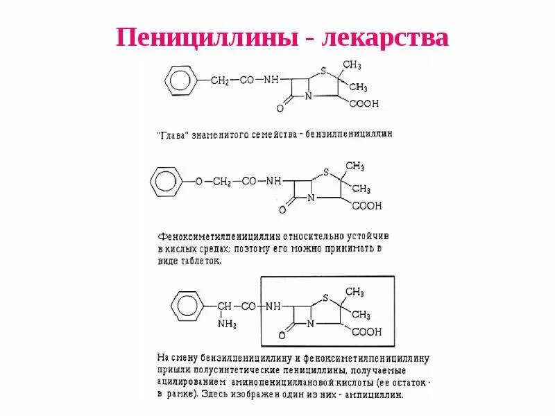 Получение пенициллина