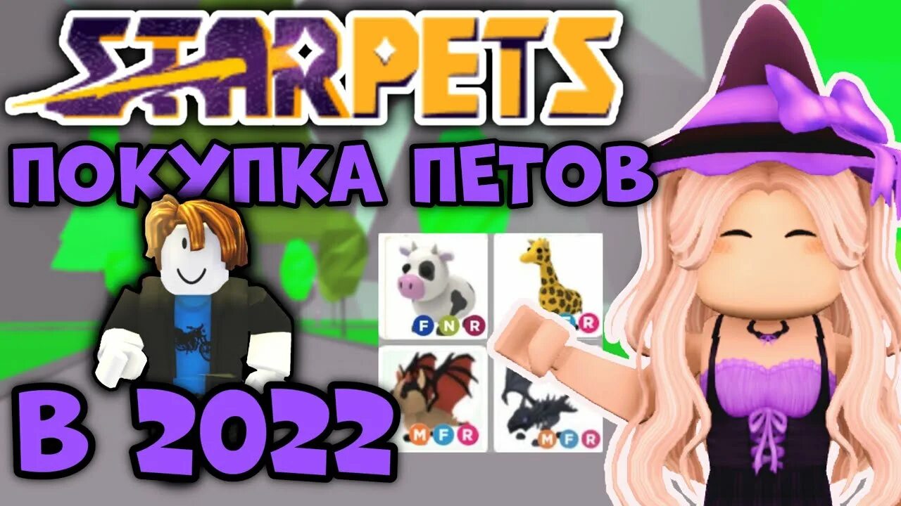 Star pets gg купить. Starpets.gg сайт РОБЛОКС. Стар петс gg. СТАРПЕТС адопт. Starpets.gg adopt me.