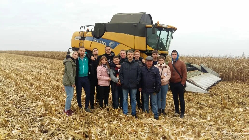 Ооо нива димитровград. Ооо нива таштып. Эмблема ооо нива. Оао нива. Оао нива.