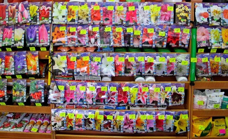 40 лет победы садовый центр. цветочный рынок краснодар восточно-кругликовская. садовый центр, краснодар, улица атарбекова. садовый центр на 40 лет победы в краснодаре. садовый центр краснодар 40.