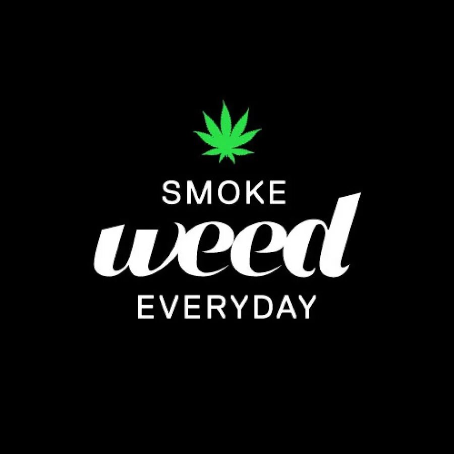 Песню smoke everyday. Смоук вид эври дэй. Песню smoke everyday. Песню smoke everyday. Смок вид эвридей.