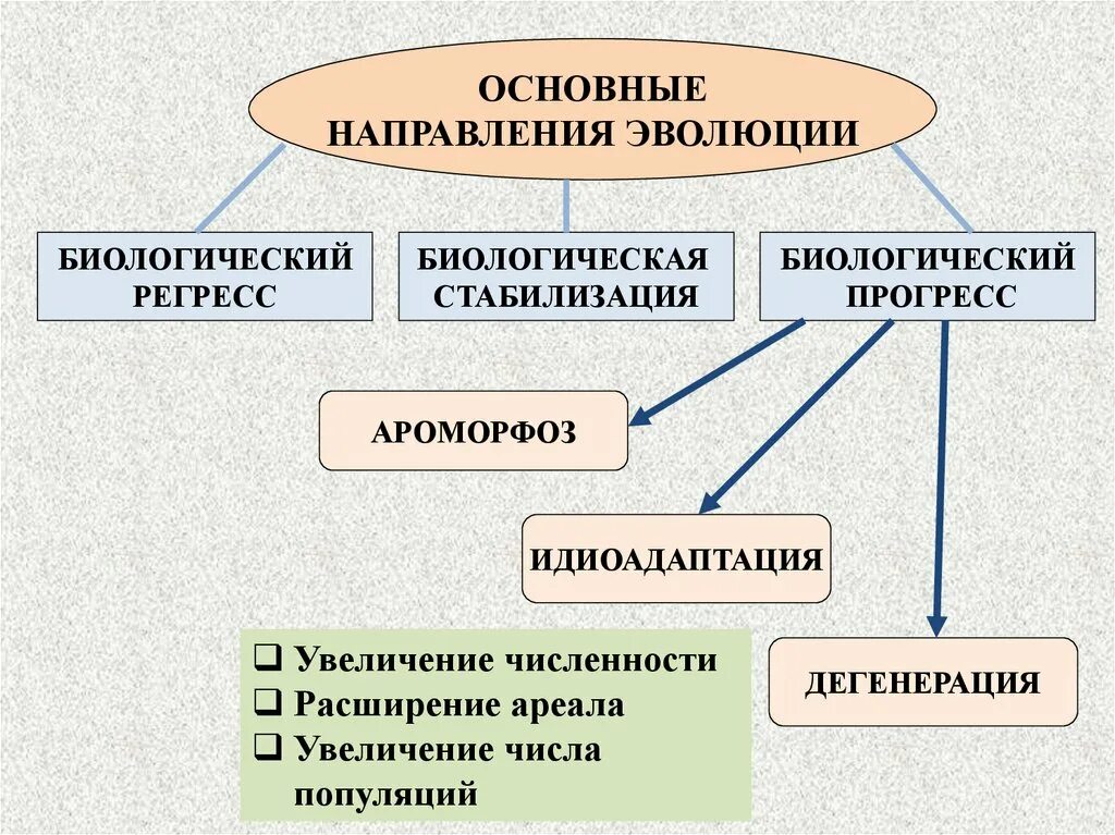 Прогрессивные эволюционные изменения. Направления эволюции биология. Биологический Прогресс и регресс схема. Направления эволюции биология 9 класс. Основные направления эволюции схема.