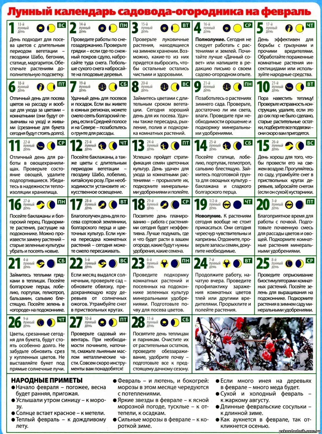 Лунный календарь на май посевной для овощей 2021. Лунный посевной календарь. Садовый календарь на 2021. Лунный календарь на февраль месяц для посадки. Садовый календарь на февраль.