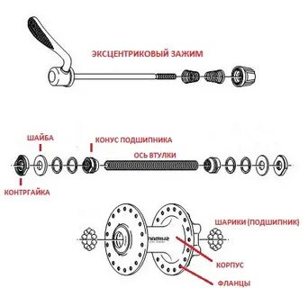 Как собрать внутренности заднего колеса велосипеда