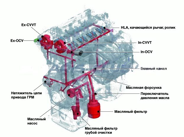 Changing the oil and oil filter of the Hyundai Elantra J5 MD engine