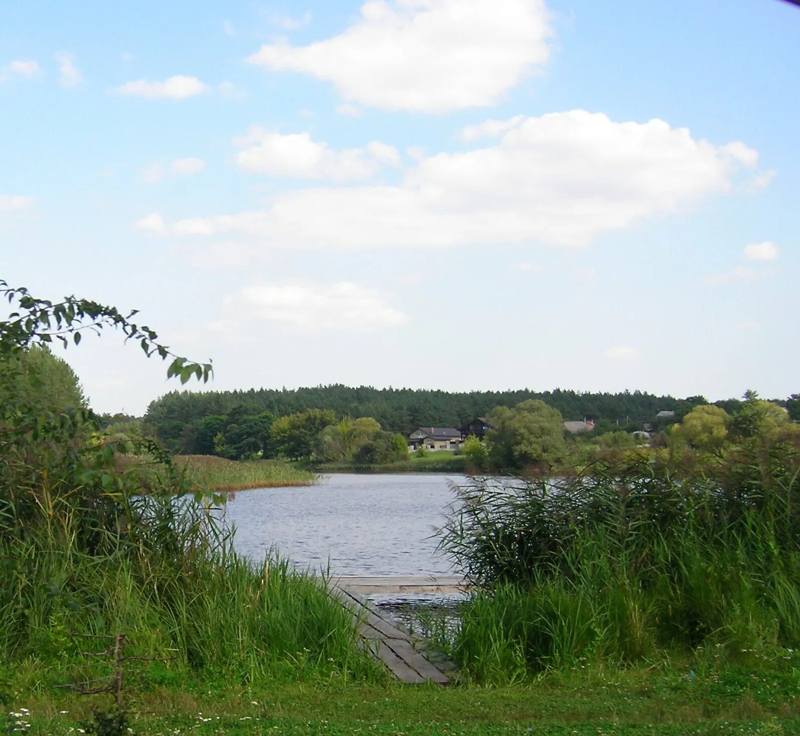 Кодра. Село кодра киевская область.