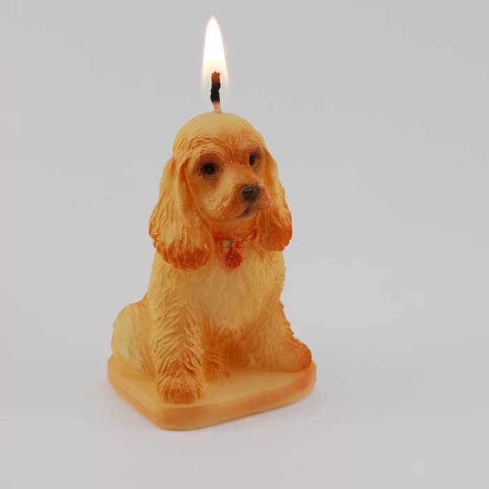 Свеча пес. Измерение температуры тела собаки. Песик со свечкой. Собака со свечкой. Свечи для клизмы.