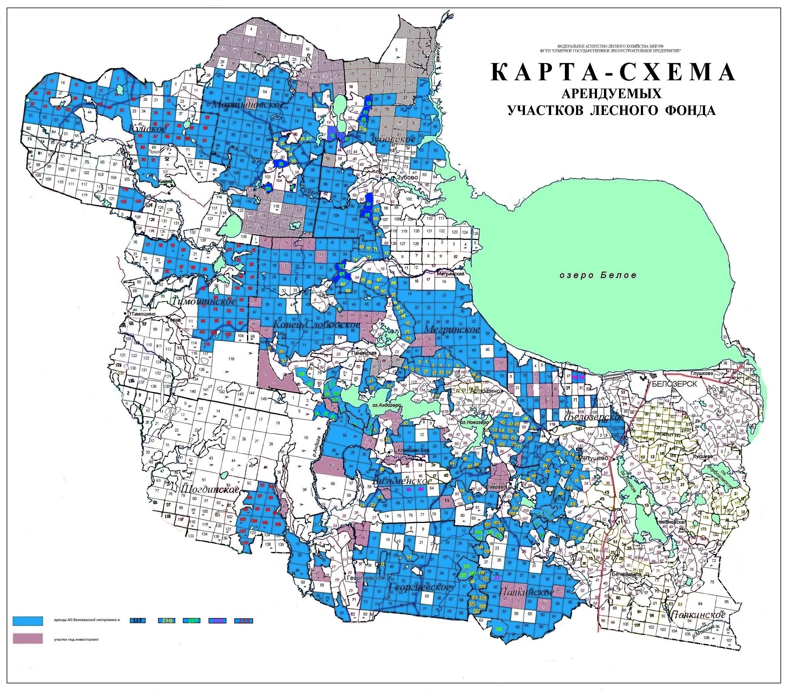 Карта белозерского района. Карта лесных кварталов Вологодской области. Белозерский район карта. Карта Белозерского района Вологодской области. Карта Белозерского района Вологодской ОБД..