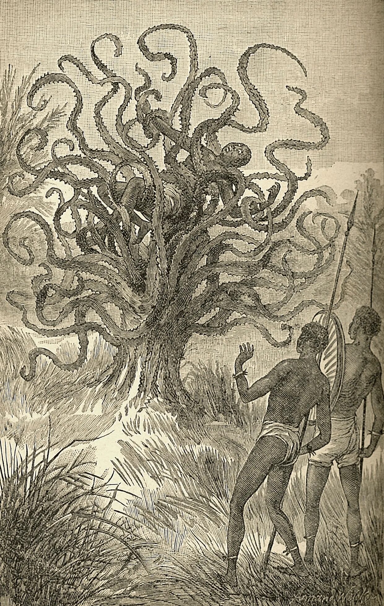 Дерево людоед с темного. Дерево людоед Мадагаскар. Мифология дерево людоед. Я те ВЕО дерево людоед. Дерево людоед пожирающее людей.